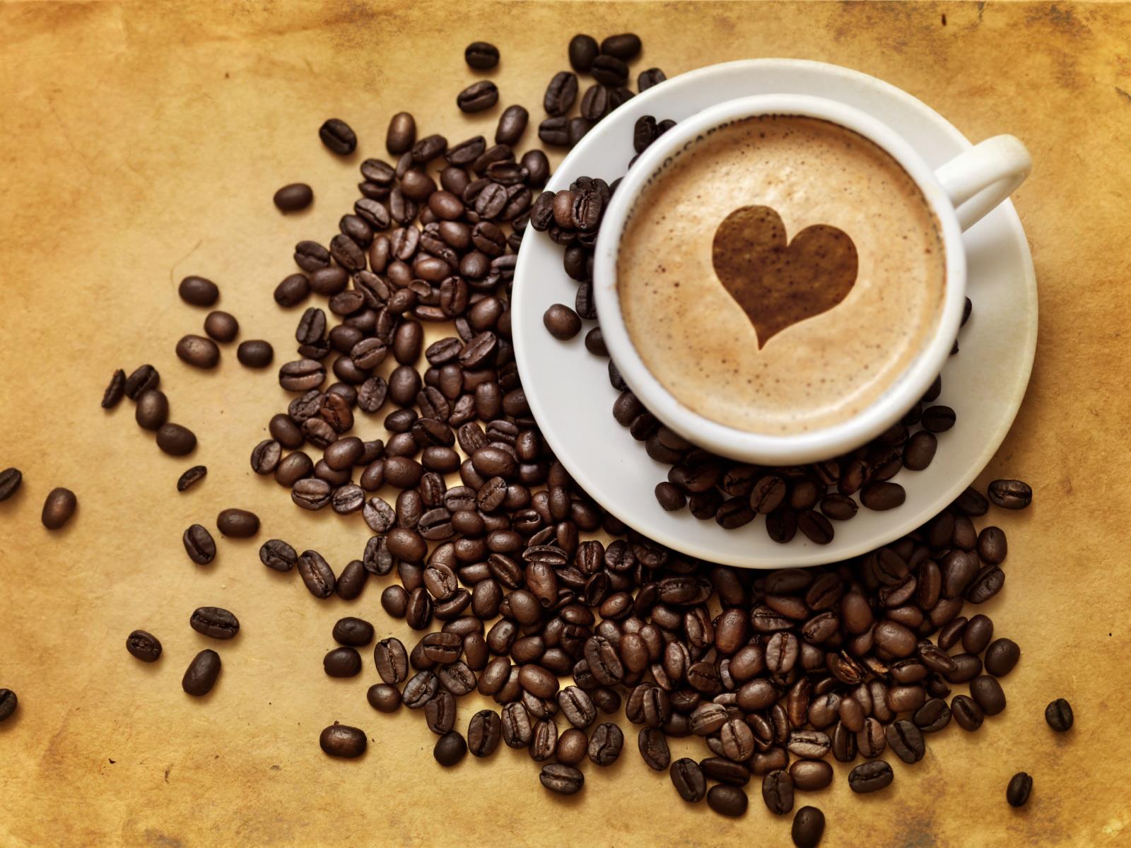 10 Curiosidades sobre o café
